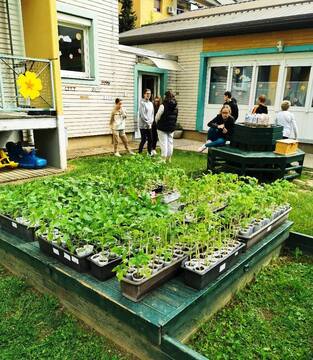 Zelenjavne sadike in projekt »Varno in spodbudno učno okolje« (10)